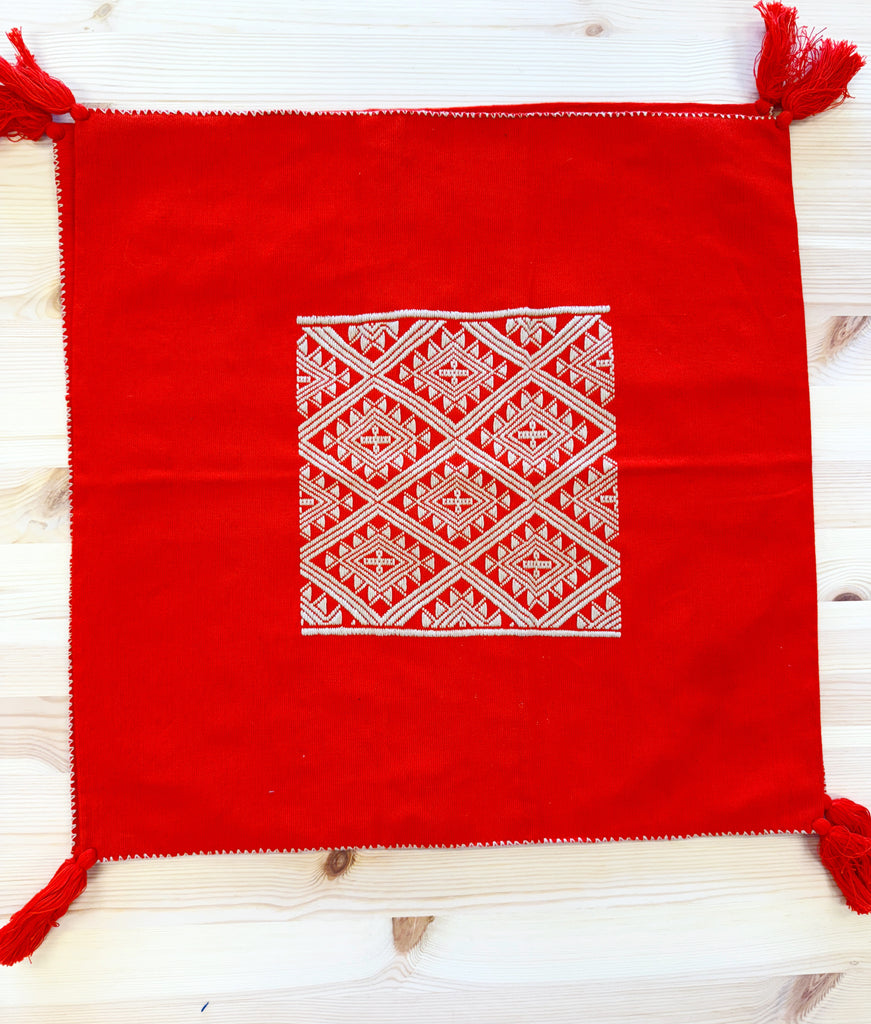 Embroidered Pillow Cover-Pillowcases & Shams-Betina Roza