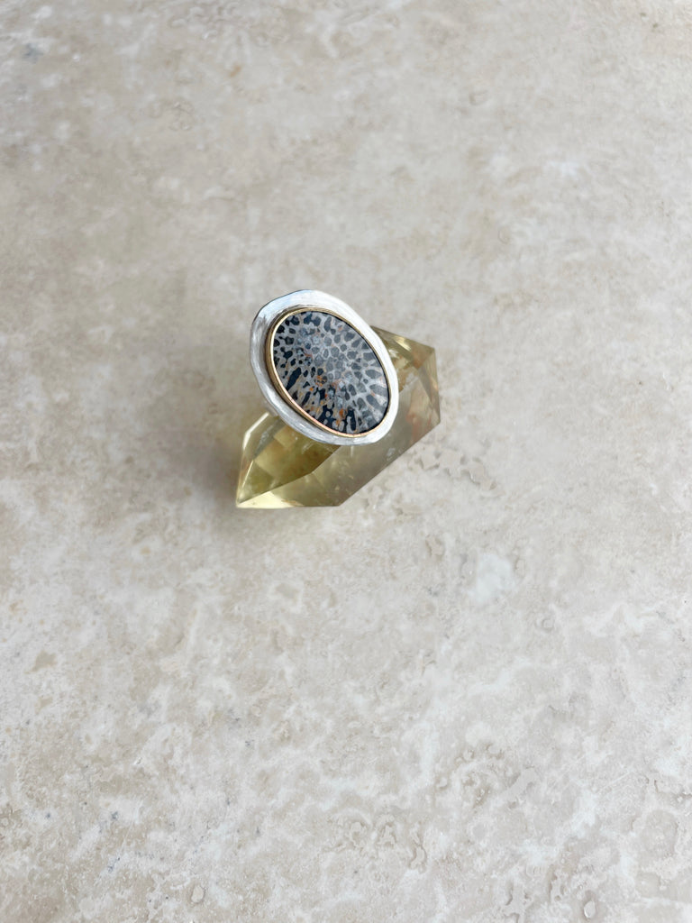 Fossilized Coral Ring-Ring-Betina Roza